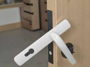 Balancing Aesthetics and Security in Steel Door Hardware
