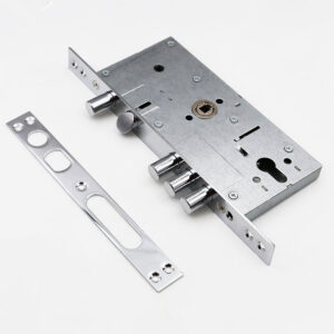 Designing Climate-Ready Multi-Point Locks for Global Projects