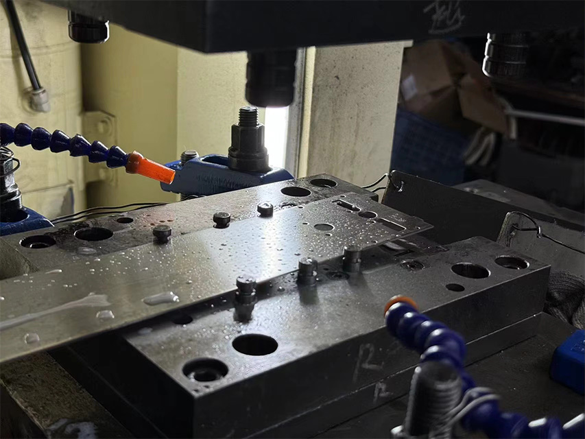 Download 4 Why Choose Us