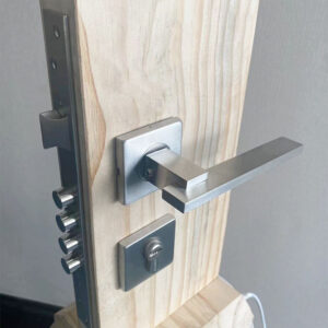 Multi-Point Lock Systems