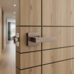 Multi-Point Locks