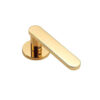 Rounded Paddle Lever Door Handle on Compact Round Rose