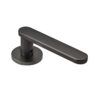 Rounded Paddle Lever Door Handle on Compact Round Rose