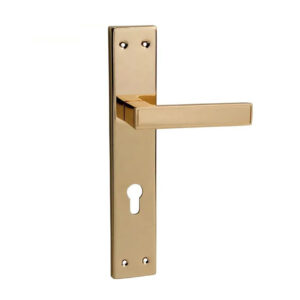 Door Handle Ergonomics Grip Diameter, Lever Return and Accessibility